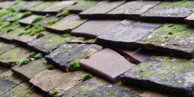 Chislehurst roof repair costs
